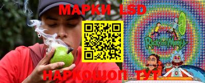 дживик Сланцы